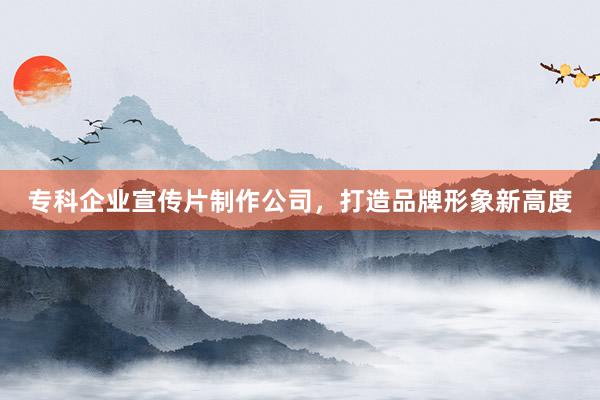 专科企业宣传片制作公司，打造品牌形象新高度