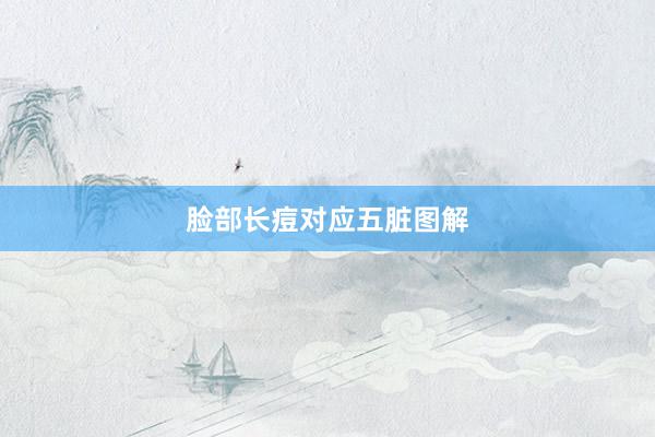脸部长痘对应五脏图解