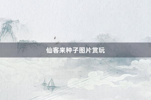 仙客来种子图片赏玩