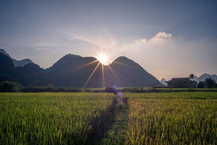 Vui chơi cùng các trò chơi đáng yêu: Lợi ích và Ứng dụng Trong Đời Sống Hiện Đại