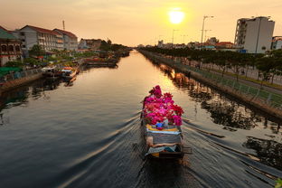 Hướng Dẫn Cách Rung Đĩa Quang Học  第1张